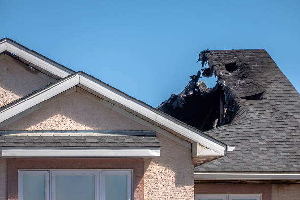 Licensed Content Restoration service in Zimmerman, MN - Fire Damage Biloxi